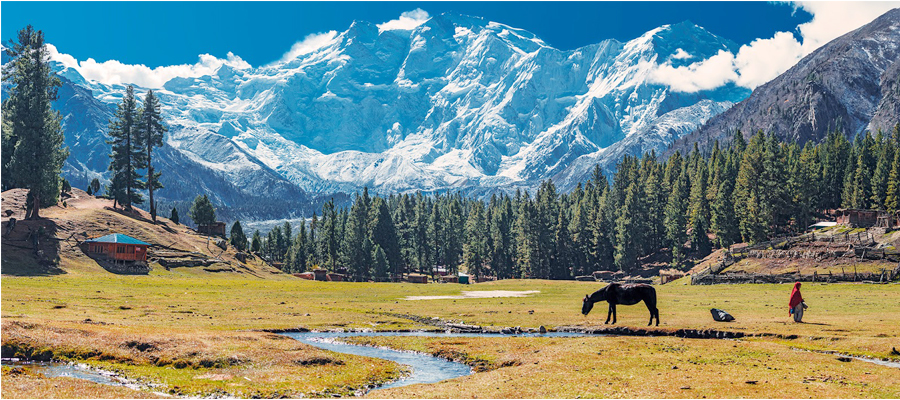 The fairy Meadows